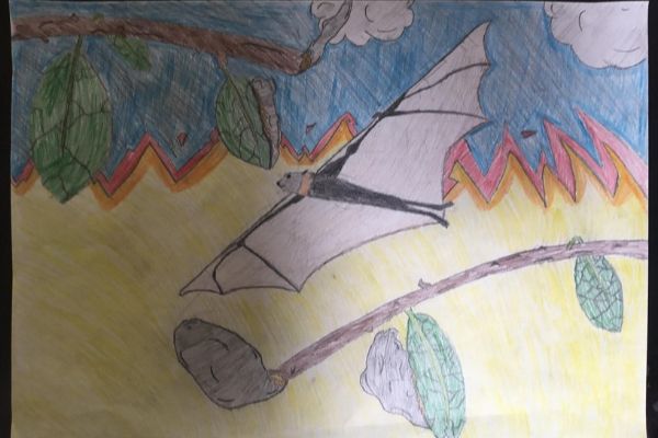 St Joseph’s Catholic Primary School Oatley - bat artwork by student